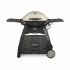 Cheap 👏 Weber Q™ 3200™ Natural Gas Grill - Titanium 🌟 -Thermador shop meuytxufelxa